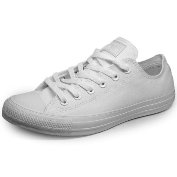 allstarwhitwhit
